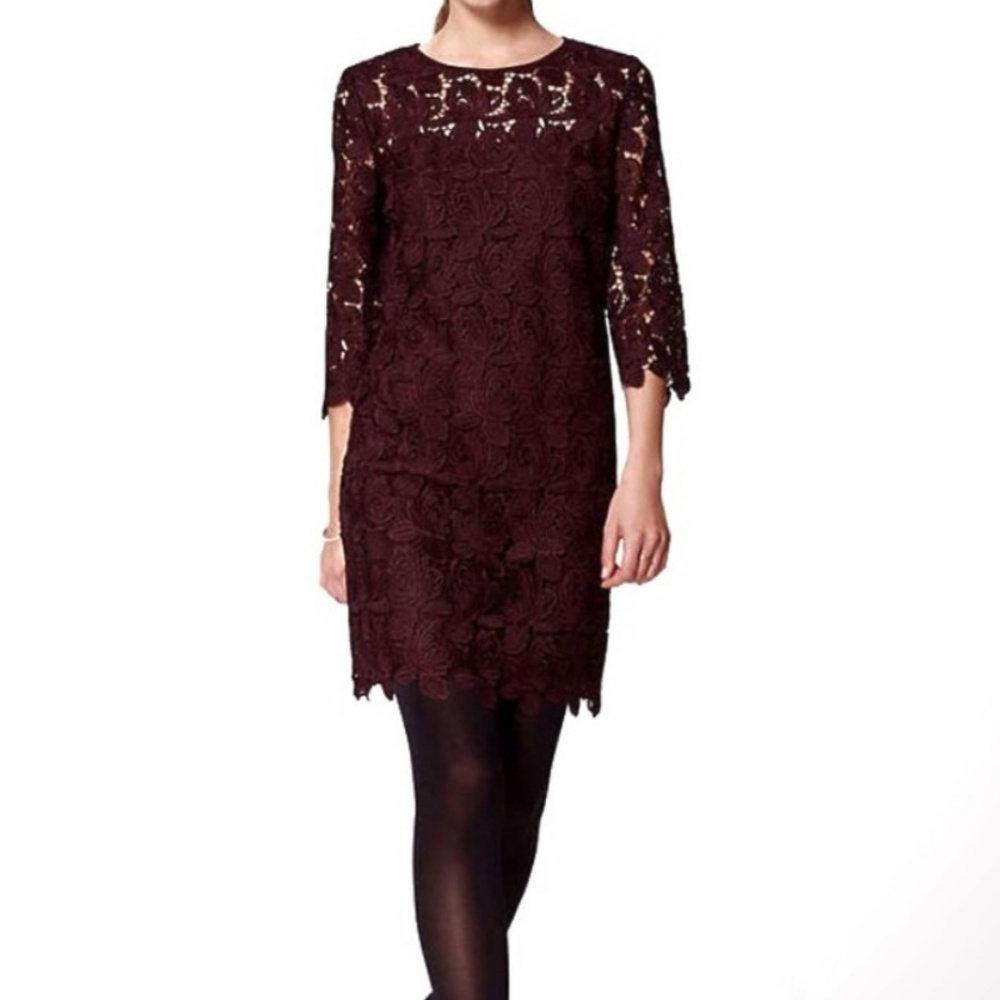 NWT Ann Taylor Loft dress